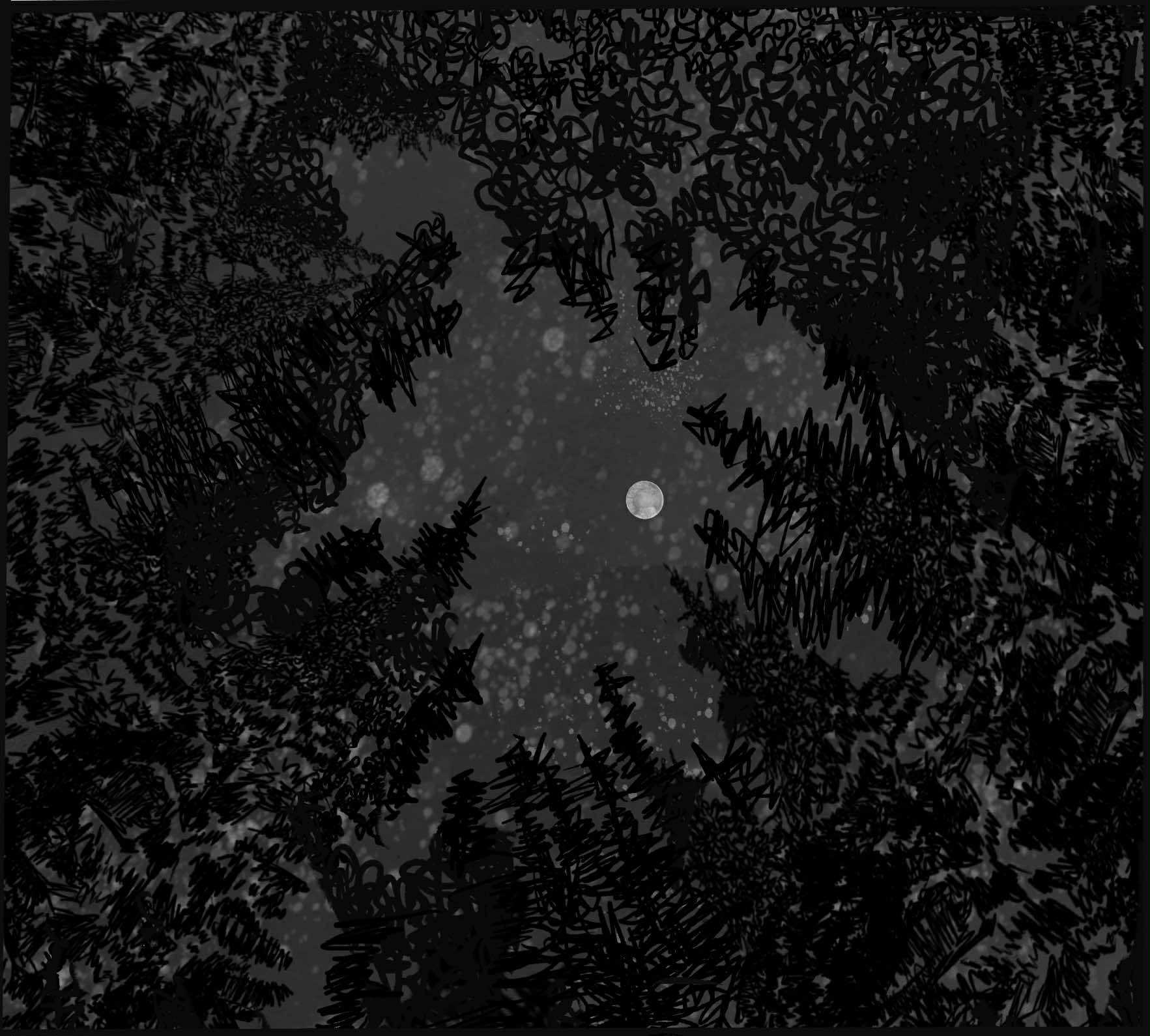 Silhouette of a forest with a moonlit sky

