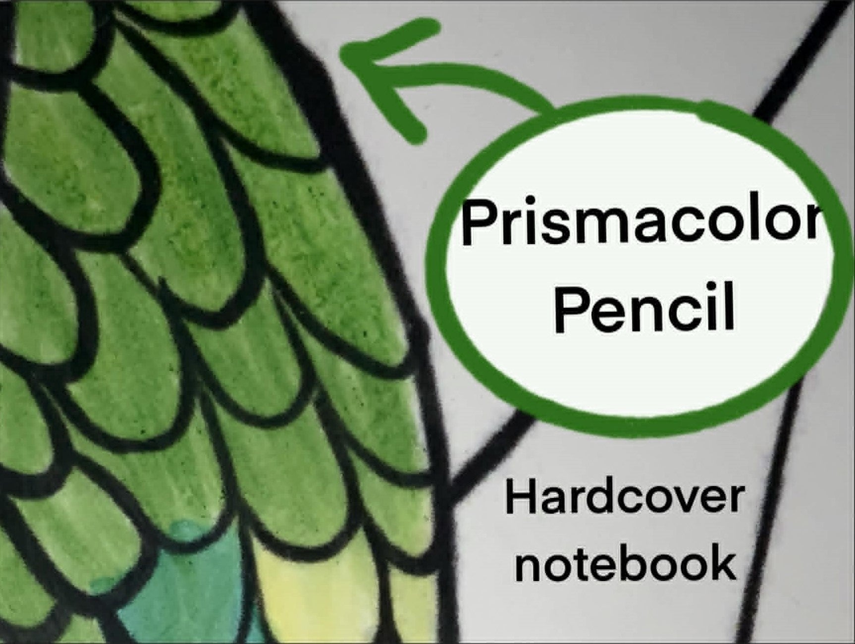 Close-up of a green textured surface with 'Prismacolor Pencil' text and a circular logo.