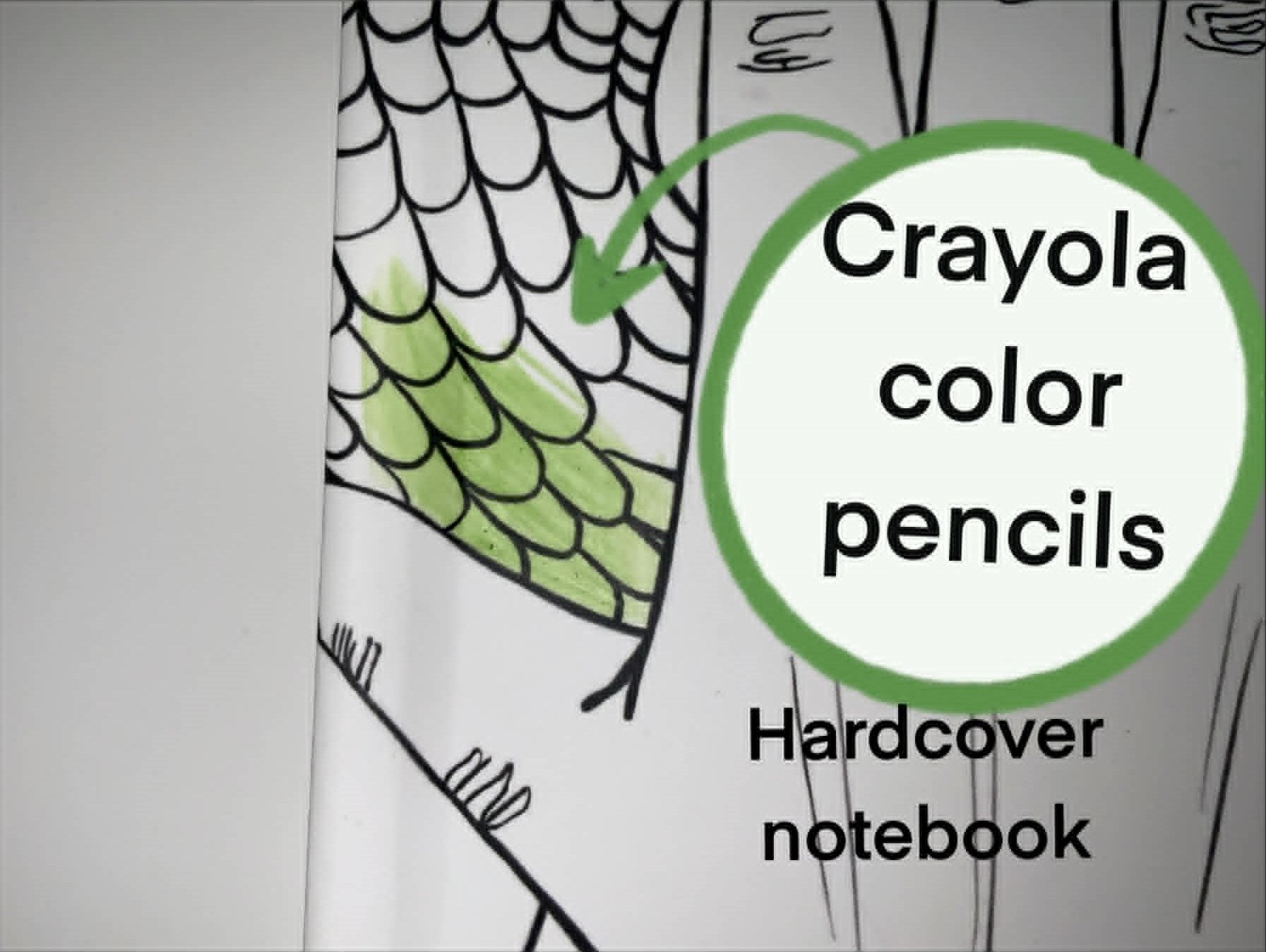Crayola color pencils notebook with green snake illustration on gray background
